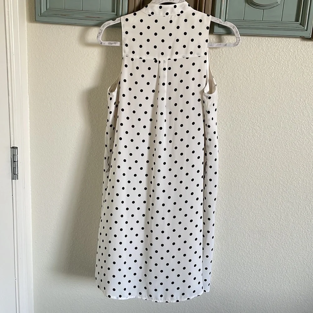 Express Dress - Picture 2 of 5